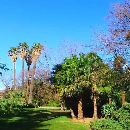 T2 Cosy Hyeres, Proche Parc, Centre Ville, 7' * Hyeres